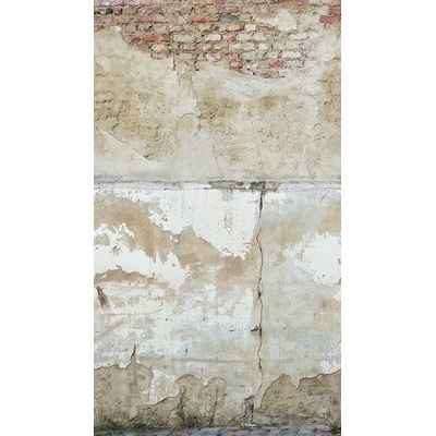 392491 Vliesový panel The Wall, rozmery 159 x 280 cm