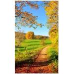 DIMEX ART Флизелинов фототапет ливада 150 x 250 см