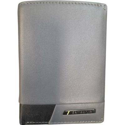 Samsonite 147796 A123 FRAMED