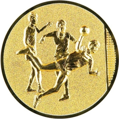 0437 Emblém házená