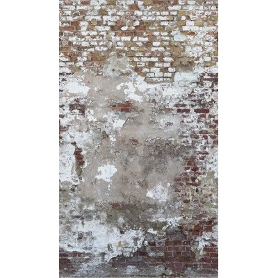 392501 Vliesový panel The Wall, rozmery 159 x 280 cm