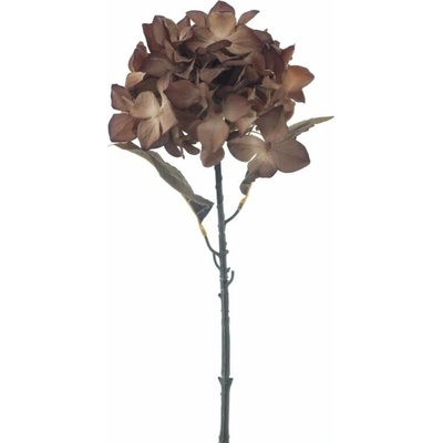 Hortenzie větev „Mendoza“ hnědá 65 cm