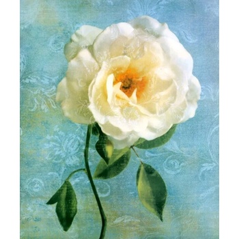 Image 1 of Бяла роза 30/40 см