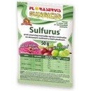 Hnojivá Floraservis Sulfurus 50 g
