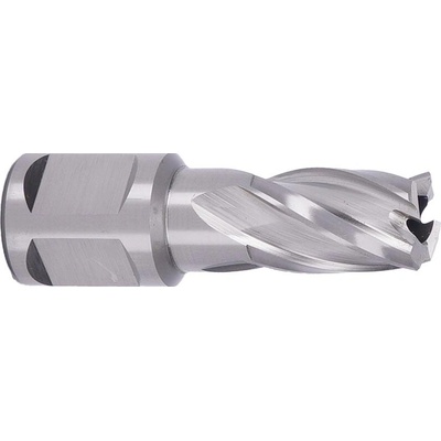 ABSE N-HS-W19-0130025