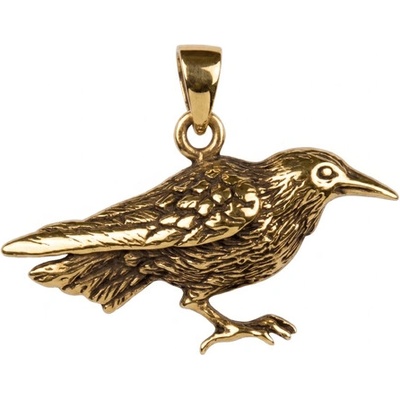 imago Bronzový amulet havrana FC21257X