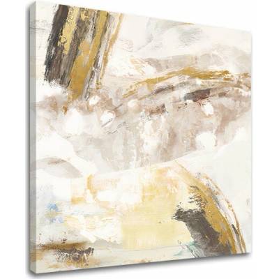 Obraz na plátne ABSTRAKT - 50x50 cm