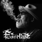 Everlast (Band) - Embers To Ashes (2 LP) (0732388027682)