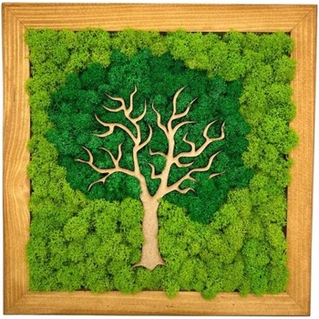 Machový obraz Tree 25x25cm