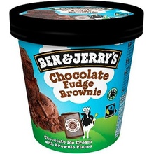 Ben & Jerry's Chocolate Fudge Brownie zmrzlina 465 ml