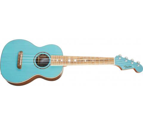 Fender Dhani Harrison