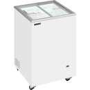 TEFCOLD IC102SC