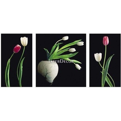 Tulipány 1 deska 100x50