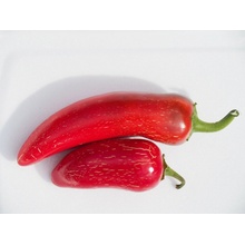 CHILLIMAT Chilli semena Jalapeno Maylon 10 ks