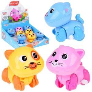HOLA Anger cat moves its tail and eyes ZA1190