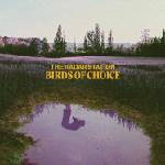 The Radar Station - Birds Of Choice (LP) (8717931351959)