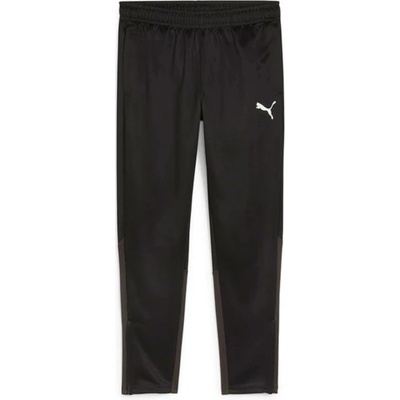 Puma teamGOAL Training pant 658639-03