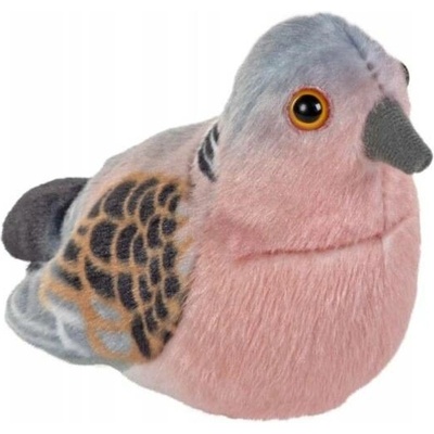 ptáček Hrdlička