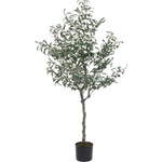Bizzotto ИЗКУСТВЕНО РАСТЕНИЕ olive 150cm ЗЕЛЕНО (0172614)