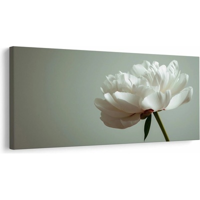 Obraz květinová elegance na bílé - 80x40
