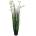 Bizzotto ИЗКУСТВЕНО РАСТЕНИЕ grevillea 100cm БЯЛО (0172890)