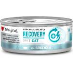 Disugual Karma - мокра храна за котки, ветеринарна серия RECOVERY Sola (за възрастни котки) 85г