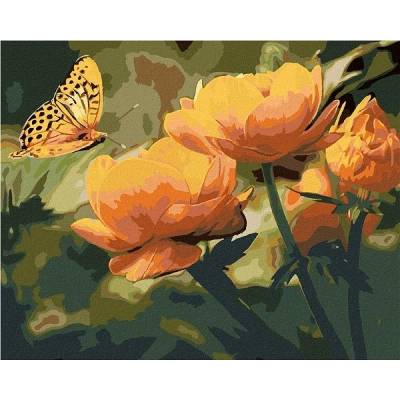 zuty Malování Podle Čísel Motýl A Oranžově Květiny 80 x 100 Cm Plátno