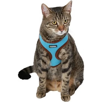 KERBL Нагръдник и повод за котка, син - 82645