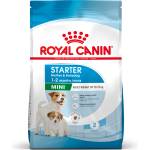 Royal Canin Mini Starter Mother & Babydog 8 кг суха храна за бременни и кърмещи кучки и кученца на възраст от 4 до 8 седмици, малки породи