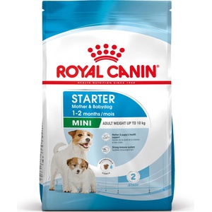 Royal Canin Mini Starter Mother & Babydog 8 кг суха храна за бременни и кърмещи кучки и кученца на възраст от 4 до 8 седмици, малки породи