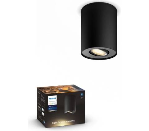 Philips P6198