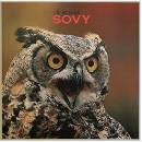 Sovy - Jiří Bednář