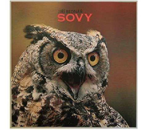Sovy - Jiří Bednář