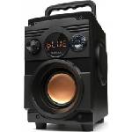 Squeak BassBlaster SQ1001 Активни колони