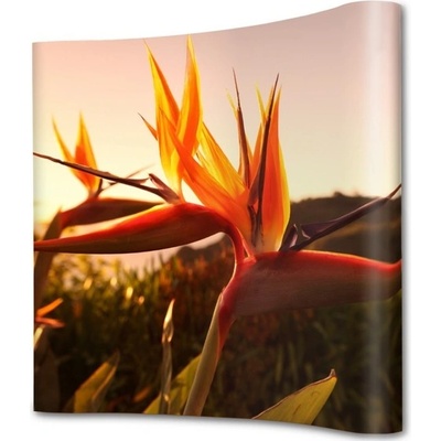 Jansen Display Pop-Up Magnetic 2x3 curved, 1920 x 2240 mm
