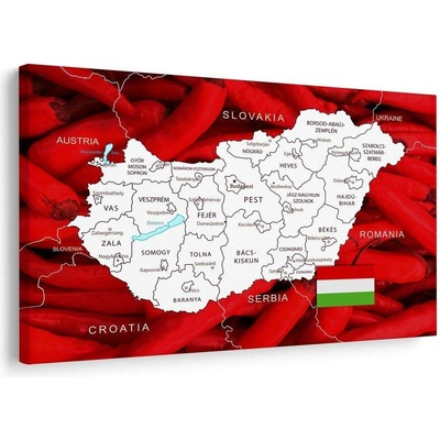 Obraz mapa Maďarska s typickým pozadím - 60x40