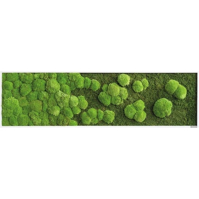 Machové obrazy styleGREEN set 3ks priemer 34/54/80 cm