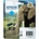 Epson T2422