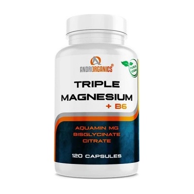 Androrganics Triple Magnesium 120 kapsúl