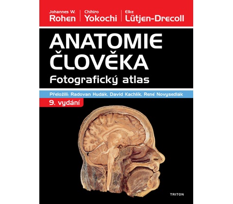 Anatomie člověka