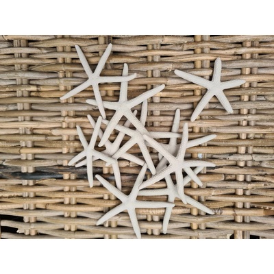 Dijk Natural Collection Starfish šedá 10 ks