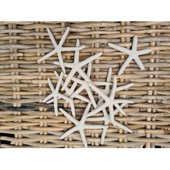 Dijk Natural Collection Starfish šedá 10 ks