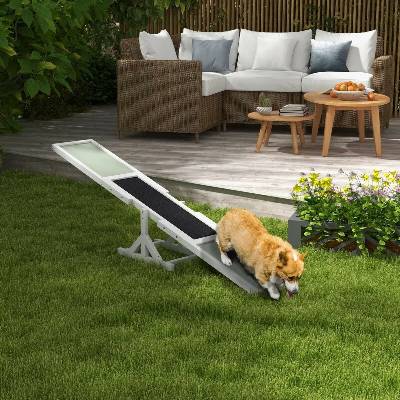 PawHut Agility houpačka lávka pro psy, 180 x 30 x 30 cm bílá