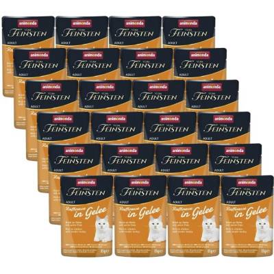 ANIMONDA Vom Feinsten Raffinesse kuře s krůtím masem v rosolovité omáčce 24x85 g