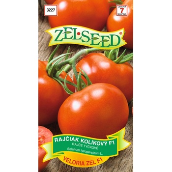 RAJČIAK kolíkový Veloria Zel F1