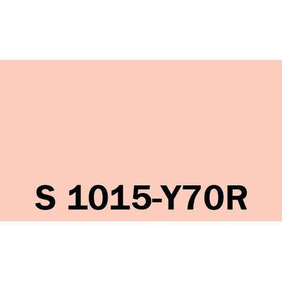 Het Soldecol Unicoat SM 5l NCS S 1015-Y70R