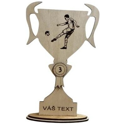 DCH Trofej na míru 3. místo