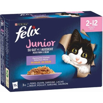 Felix Fantastic Junior hovädzie kura sardinky losos v želé 12 x 85 g