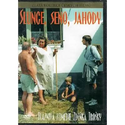 Bontonfilm a. s Sun, Hay, Berries - DVD (004322)