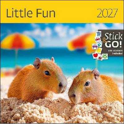 Little Fun nástěnný Helma 2027